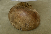 Holzunikat