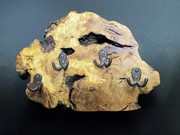 ausgefallene Wohnaccessoires