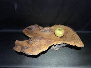 aussergewöhliche Accessoires