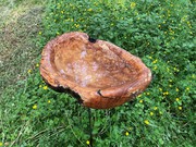 XXL Holzschalen, Waschbecken aus Holz