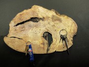 ausgefallene Wohnaccessoires